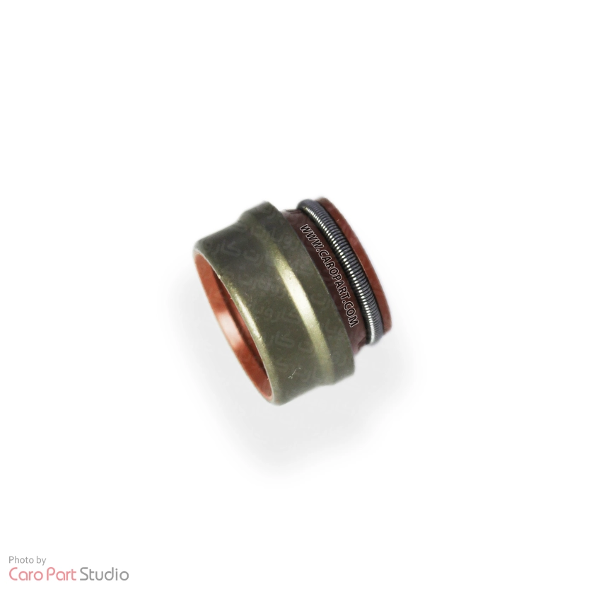 کاسه نمد ساق سوپاپ 405