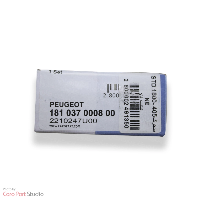 یاتاقان متحرک پژو 405