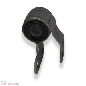 بوش طبق جناقی زانتیا