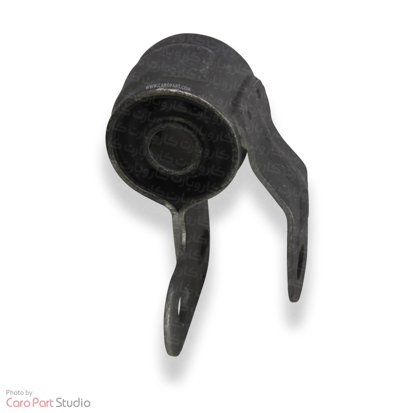 بوش طبق جناقی زانتیا