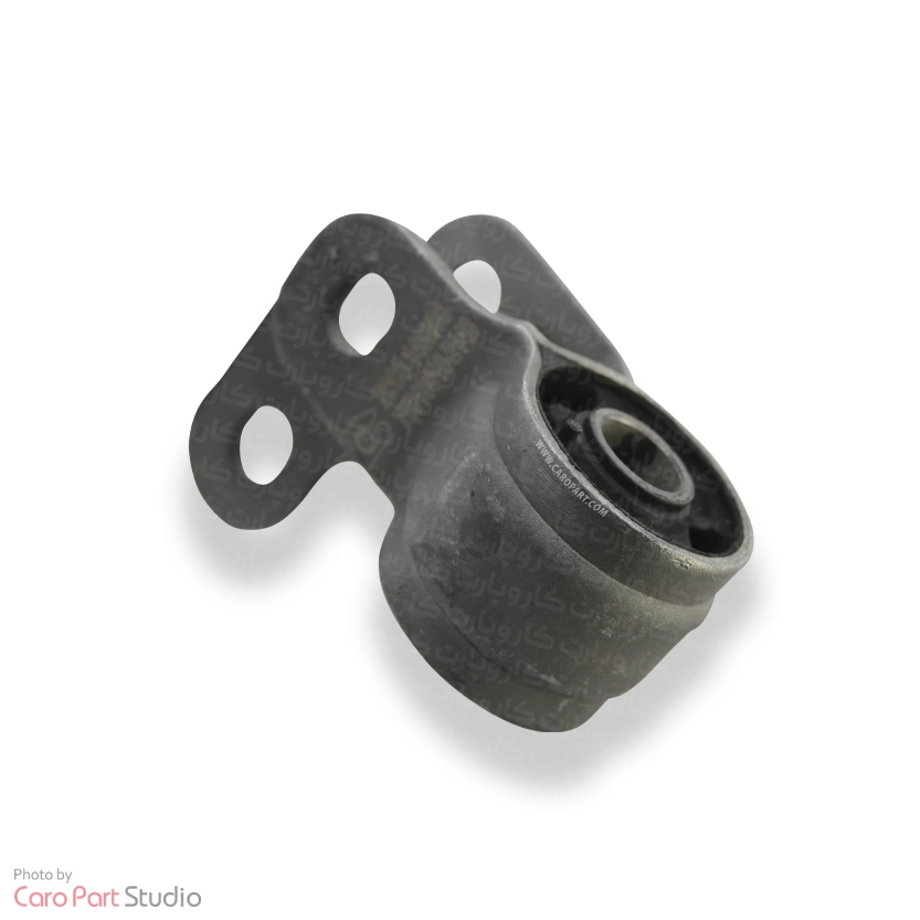 بوش طبق جناقی زانتیا