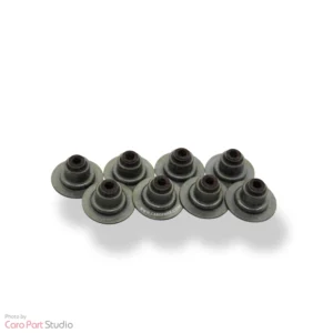 کاسه نمد ساق سوپاپ تیبا